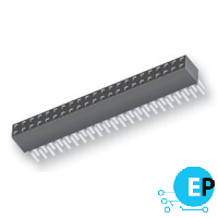 SSW-106-01-F-S-LL