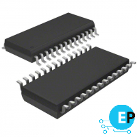 MSP430G2433IPW28R