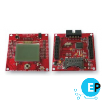 MSP430-169LCD
